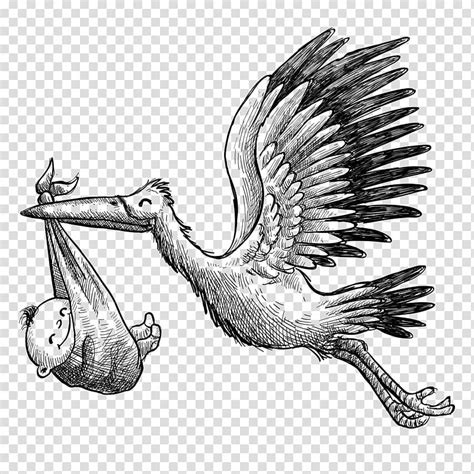 Bird Carrying Child Illustration White Stork Euclidean Hand Painted