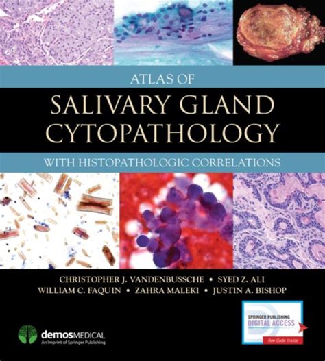 Atlas Of Salivary Gland Cytopathology William C Faquin Et Al Buy