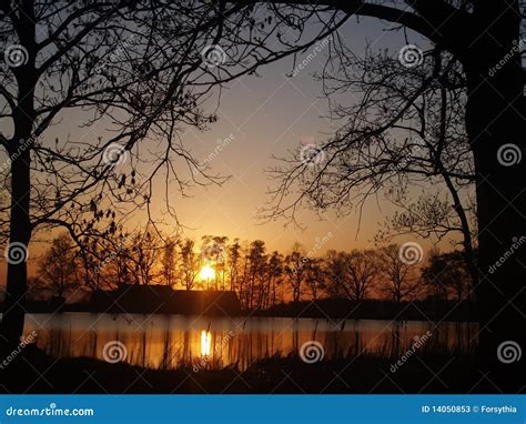 Sunset Near Pond Stock Image Image Of Trees Pond Watertable 14050853