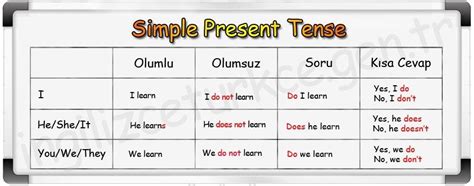 Simple Present Tense IngilizceTurkce Gen Tr