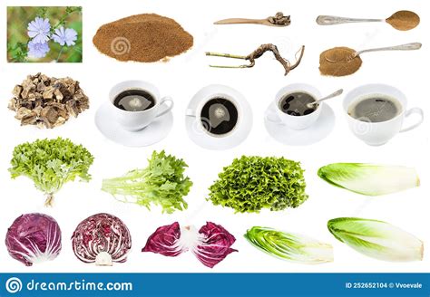 Various Foods And Drinks From Endive And Chicory Stock Photo Image Of
