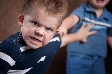 Toddler Aggression Causes Tips To Prevent When To Worry Artofit