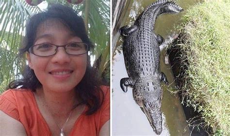 Crocodile Attack Scientist Eaten During Feeding Time Research Centre