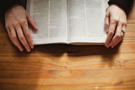 El Libro Que Te Puede Ayudar En Esta Crisis La Biblia Crítica