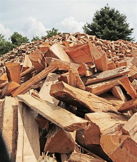 Kiln Dried Firewood 1 Cord Loose Larger Split Mix Special