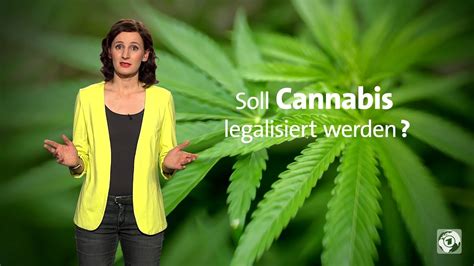 In allen ländern der eu darf man mit cannabis samen handeln, doch nicht in unserem land. 34 Top Images Wann Wird Cannabis Legal In Deutschland ...