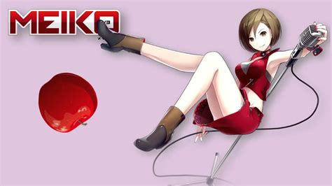 Meiko V3