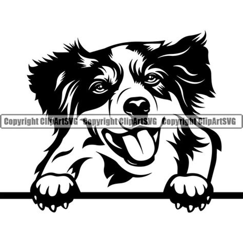 Aussie Svg Dog Clipart Australian Shepherd Vector Graphic Art Etsy