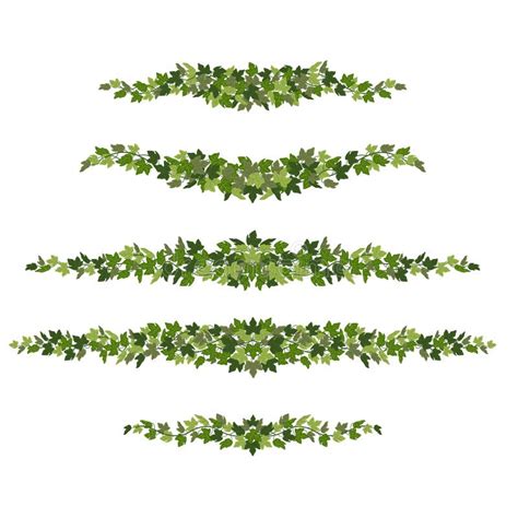 Ivy Borders Green Creeper Decorative Dividers Isolated On White
