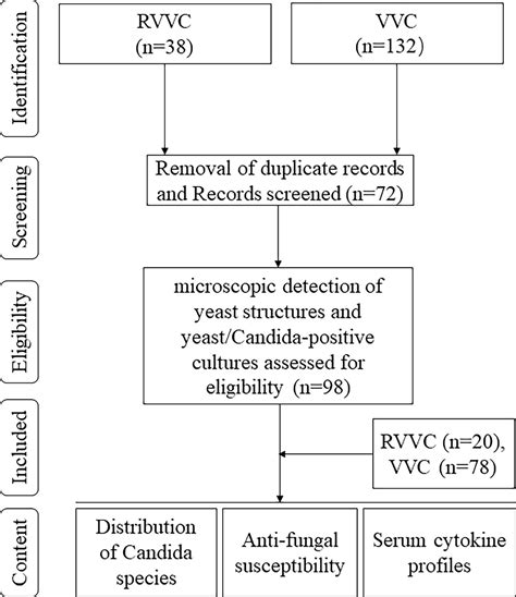 Frontiers Distinct Host Immune Responses In Recurrent Vulvovaginal