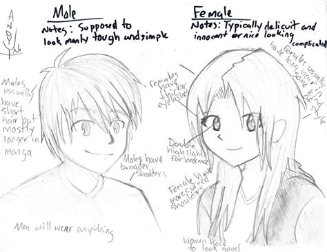 Manga Male Female Comparison By Leapoffaith4 On Deviantart