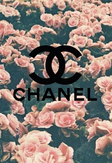 Chanel On Pinterest Chanel Logo Wallpapers And Coco Chanel