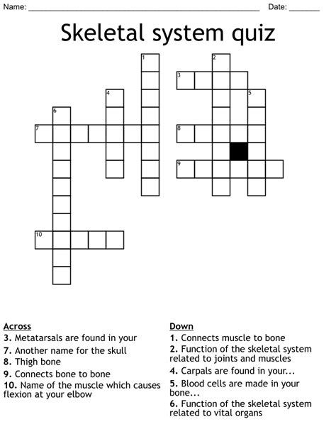 Skeletal System Quiz Crossword Wordmint