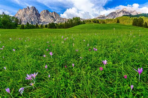 Dolomite Mountains Summer Dolomites Spring Field Meadow Grass