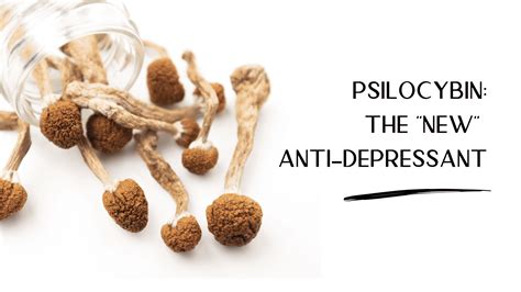 Psilocybin Therapy How Does It Work Dropper Depot