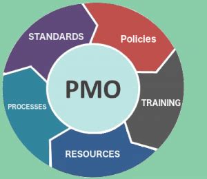 Invest and conduct transaction requests with ease via public mutual online (pmo). IT Project Management and PMO Services - nSight Management ...