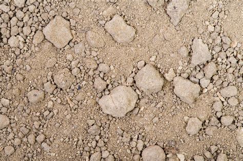 Loam Soil Stock Image C0055828 Science Photo Library