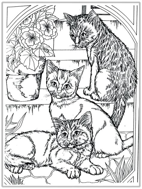 Realistic Kitten Coloring Pages At Getdrawings Free Download
