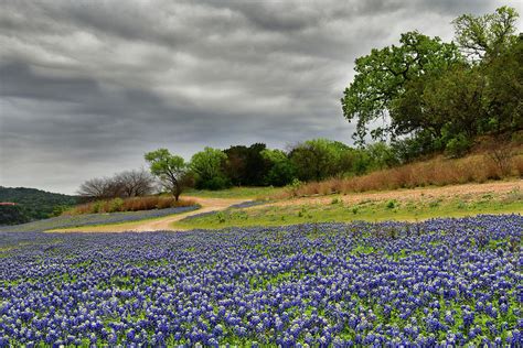 Muleshoe Bend Bluebonnets 2 Photograph By Dean Hueber Pixels