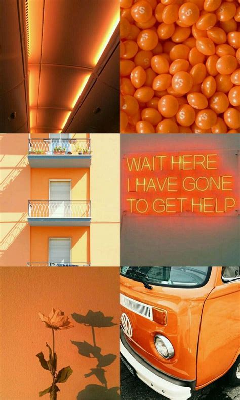 Orange Aesthetic Orangeaesthetic Colorpalette Moodboard