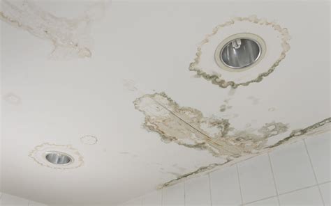Water damage can hide within walls, beneath floors, and in ceilings. Why You Should Never Ignore Water Stains on Your Ceiling