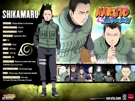 Naruto Characters Profiles Tsunade360 Photo 30617482 Fanpop