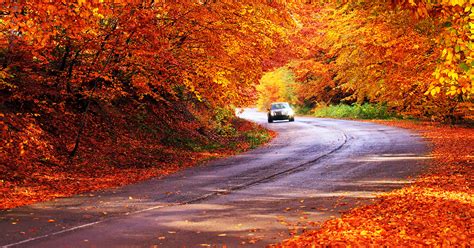 5 Places To See Fall Foliage In The Us Aarp Travel Center Blog