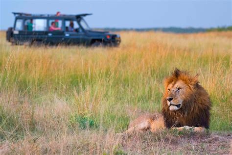 Holiday Vacations | African Safari