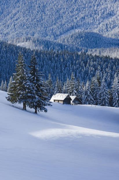 圣诞冬季景观冷杉雪林中的山间小屋寒冷高清图片下载 正版图片505471453 摄图网