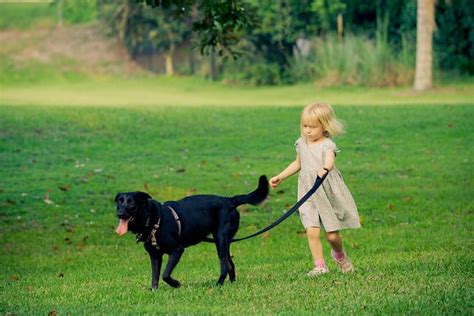 How To Teach Your Kid To Walk The Dog The Dog People By