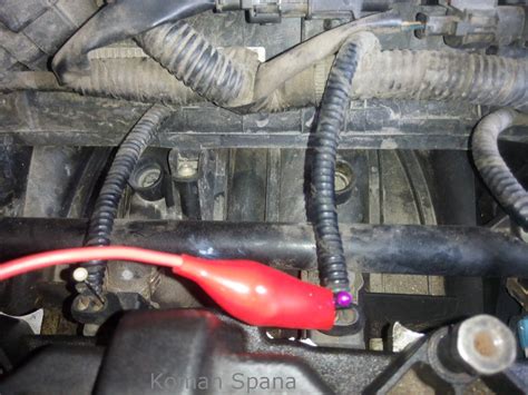 Di sini aku nak share pengalaman cerita aku main dengan bos aku di dalam kereta. D.I.Y. SERBAMANEKA: Periksa Voltage Fuel Injector Proton ...