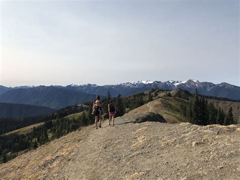 Klahhane Ridge — Washington Trails Association
