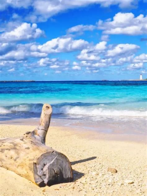 Best Beaches In Nassau Bahamas Should Be Cruising
