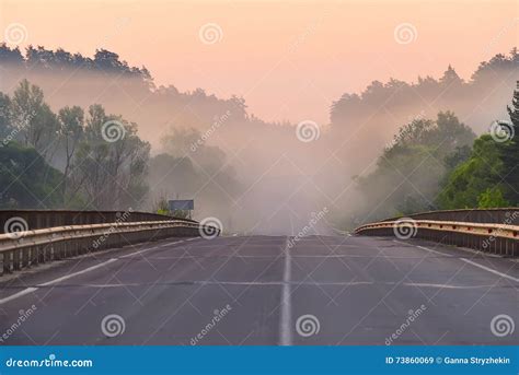 Foggy Road In The Forest In The Morning Stock Image Image Of Nature