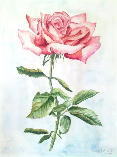 Pink Rose Drawing At Getdrawings Free Download
