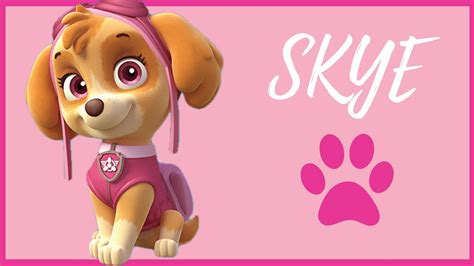 La Patrulla Canina 🐶 Cachorro Skye 💕 Paw Patrol 🐩 Skye 💗🎀 Youtube