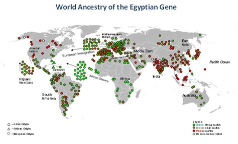 The Egyptian Gene Dna Consultants