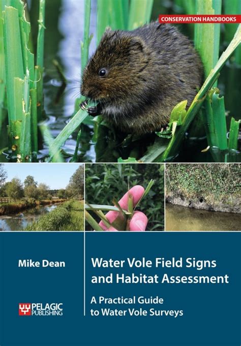 Water Vole Field Signs And Habitat Assessment A Practical Guide To