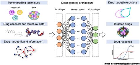 Single Cell Techniques And Deep Learning In Predicting Drug Response