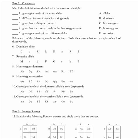The worksheet is an assortment of 4 intriguing pursuits that. Monohybrid Cross Worksheets