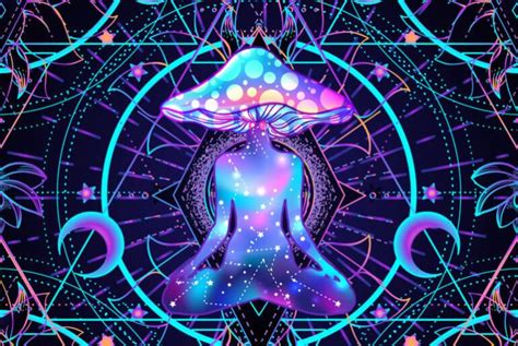 6 Magic Mushrooms Trip Levels You Should Know About Magic Mushrooms