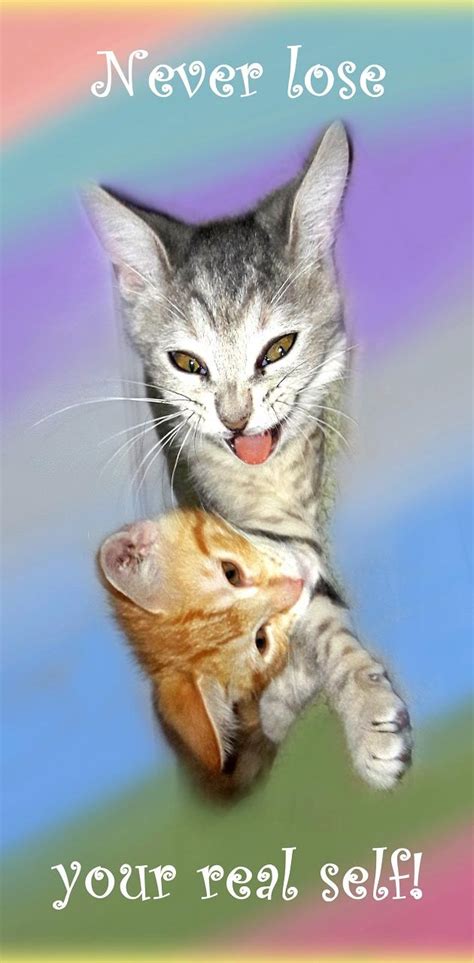 Real Self Kittens Wallpaper By 1artfulangel Download On Zedge 39bb