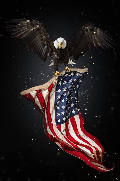 Iphone American Flag Eagle Wallpaper Guarurec