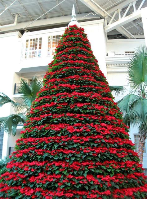 Check spelling or type a new query. The Christmas poinsettia tree at Opryland Hotel Nashville ...
