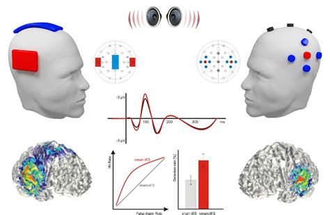 Figure 2 From Modulating Human Auditory Processing By Transcranial