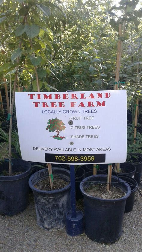Fruit Trees That Grow In Las Vegas / Growing fruit trees in Southern ...