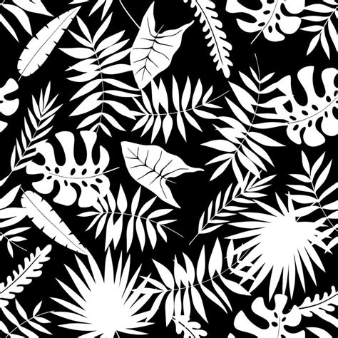 Seamless Palm Leaves Black And White Vector Illustration 9002839 Vector