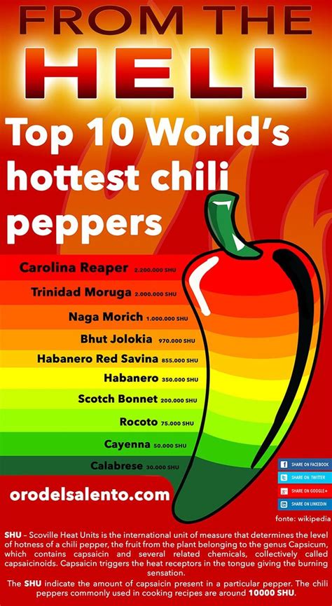 The scale is named after its creator, american pharmacist wilbur scoville. Sai quali sono i 10 peperoncini più piccanti del mondo ...