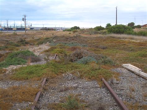 Filewallaroo Overgrown Rail Tracks 0835 Wikipedia
