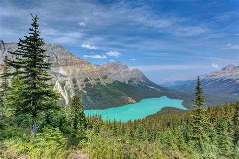 Peyto Lake 5k Retina Ultra Hd Wallpaper Background Image 5759x3839